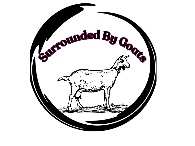 Surrounded By Goats